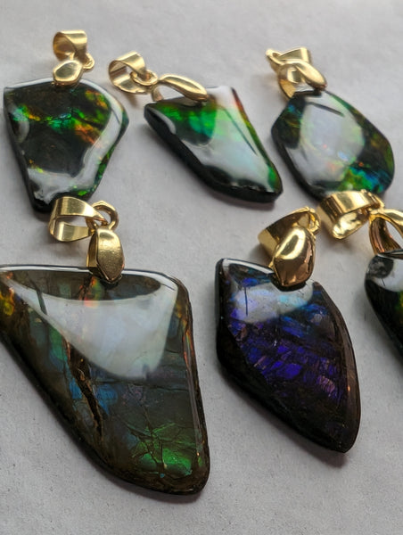 Ammolite Freeform Bundle with Gold Plated Bail: E00Bundle60