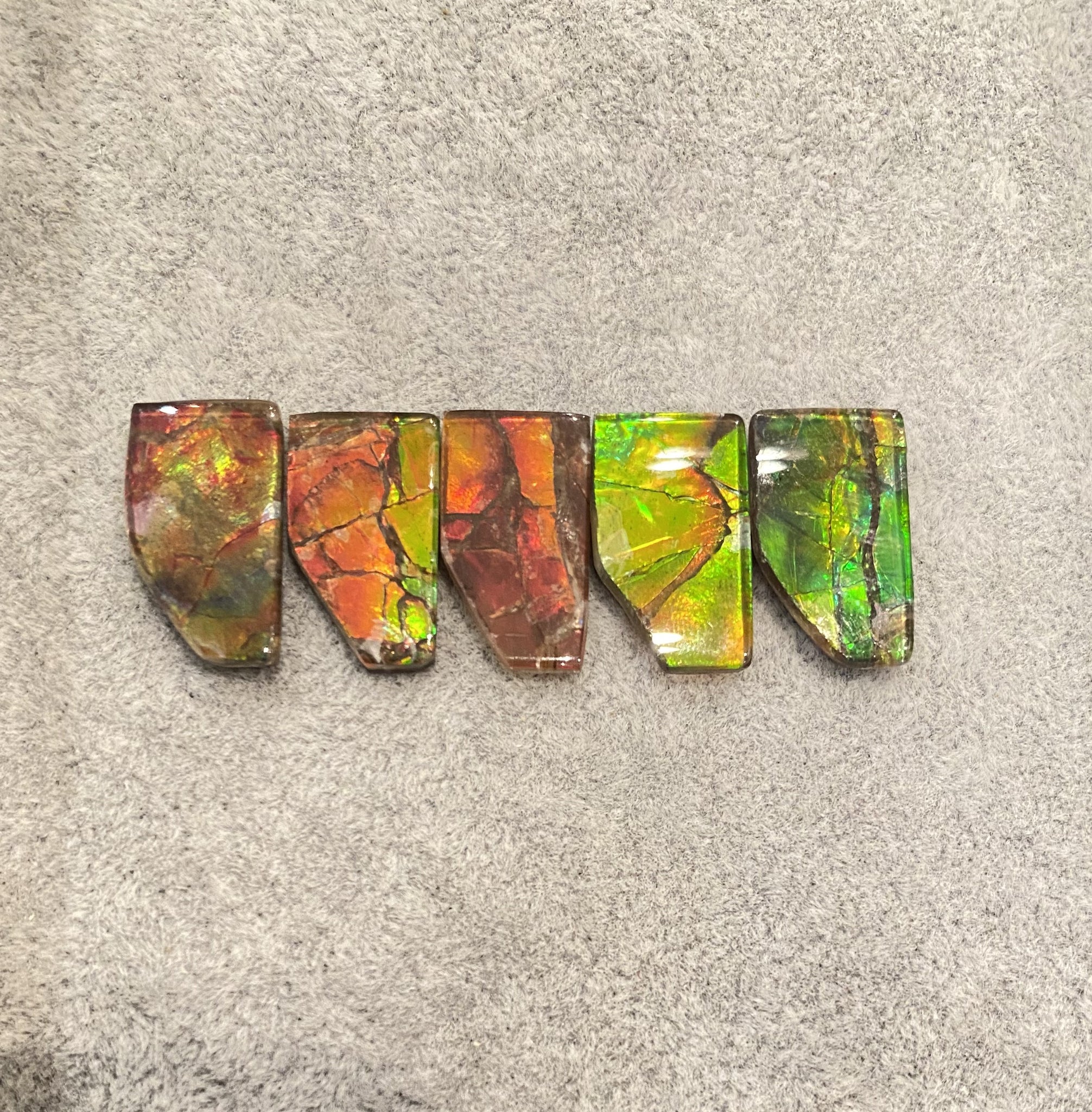 Alberta shaped Ammolite gemstone natural and genuine : E00bundle57