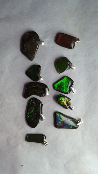 Ammolite Freeform Bundle with Silver Bail: E00Bundle61