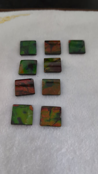 Ammolite 20mm Square Gemstone Bundle PN E00bundle62