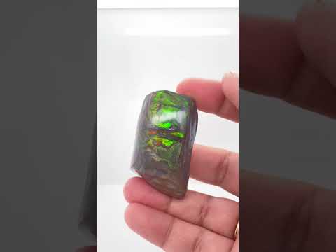 Ammonite Art Piece 29x46mm Video PN E170-43